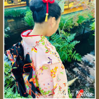 娘と一緒にお茶会に参しました（別誂え・桜色地橘に扇柄一つ紋付付下げ）