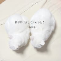 本日から