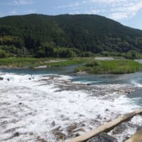 本日の海部川
