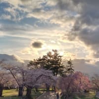 5月1日忍たま乱太郎出演します