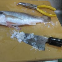 イシモチの中華風餡かけ