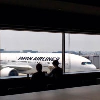 南国への旅〜羽田空港編
