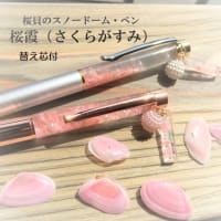 21「2025 博物ふぇすてぃばる！11」