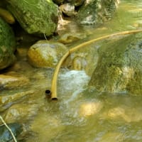 黄渓の湯探索