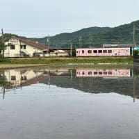肥薩おれんじ鉄道くまモンラッピッング列車マイメロラッピング列車　佐敷駅にて