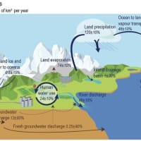 「川」シュミレーションの追加で温暖化メカニズムを明快に解析：2024年に「水のノーベル賞」を受賞した沖大幹・東京大学教授