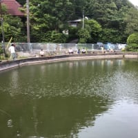 緑水園　横浜市戸塚区の釣り堀