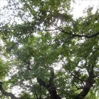 北国街道・木之本宿～其の二 in 滋賀県長浜市木ノ本町