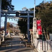 【埼玉・所沢】熊野神社