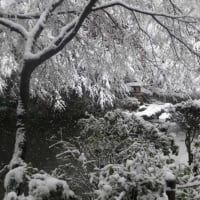 池田山公園雪景色