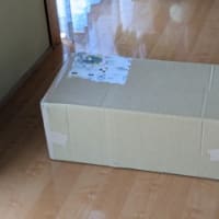 出会いは突然に