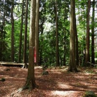トレイル フェスト ランニング カンパニー