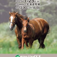 【ジェイエス･冬季繁殖馬セール2023(JS Company Winter Broodmare Sale)】は本日1/25(水)開催(ライブ中継あり)