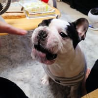 トイレを片付けました