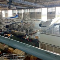 羽田空港研修 グループ①