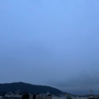 朝。雨。