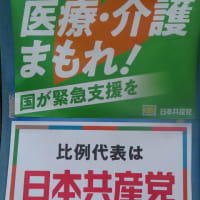 天皇に側室？　教育勅語賛成　軍隊の創設　終末期医療は全額自己負担　参政党の公約　なんだこれは！？？
