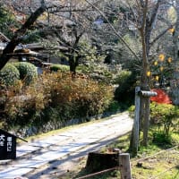 06/29奈良京都への旅-17（紅葉の銀閣寺）