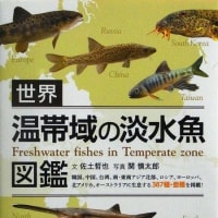 Amazon.com: 世界温帯域の淡水魚図鑑: 9784895314237: unknown