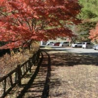ゆるキャン△の聖地を行く48　その5　　大柳川渓谷遊歩道へ