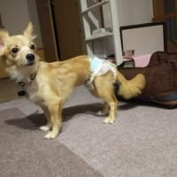 引っ越し作業に移ります