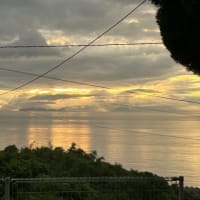 定休日と臨時休業