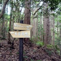 桑谷山