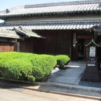 山下吹（28）　発祥の地　川西市山下町・下財町の山下吹