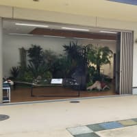 昨日の調律