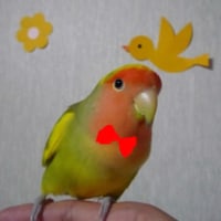 お誕生日おめでとう！