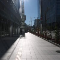 １月の東京ミッドタウン八重洲：八重洲セントラルタワー１階通路を通り抜けて外堀通りへ　ＰＡＲＴ２