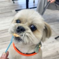 ソーセージの試食会を開催しました！②