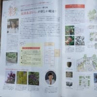 「私のカントリー」「only one club plants」に掲載されました。