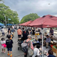 筥崎宮参道「箱○古本市」で見つけた貴重資料たち