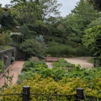 公園～花屋さん