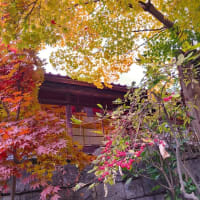 宗派の記憶
