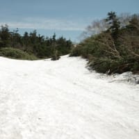２０２５年５月１９日　北八甲田　仙人岱　地獄湯ノ沢のようす