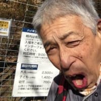まさに虎さん３連発、何じゃそれ？