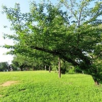 八田寺公園から堀上公園