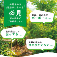 ジャングル状態のビル裏を一新！雑木と雑草を取り除いてスッキリ快適な空間へ