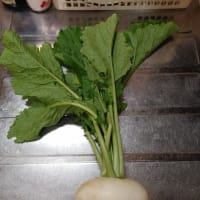 【シンプルで美味しい！】いただき物の「かぶ」を料理（？）