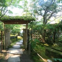 綺麗な天授庵の庭園（南禅寺塔頭）