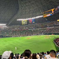 野球観戦⓻