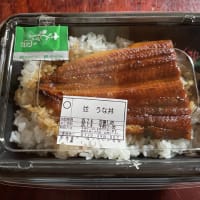 暑いからインドアで過ごしたい