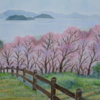 安芸津　正福寺山公園の桜と瀬戸内海