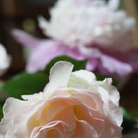 青梅ジュース
