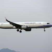最近見た航空機　　福岡空港