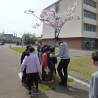 泉大津市仲よし学級(学童保育)で環境学習講座を実施しました！