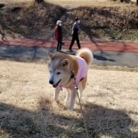 クリンへの想いは尽きなくて・・・310