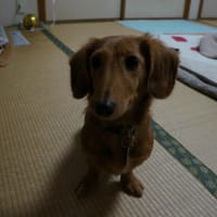 まったりと！